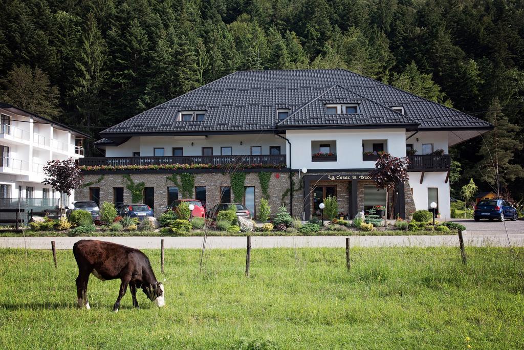 古拉哈莫卢洛伊 La Conac In Bucovina酒店 外观 照片
